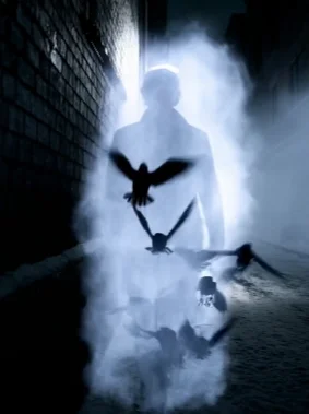 Black Raven